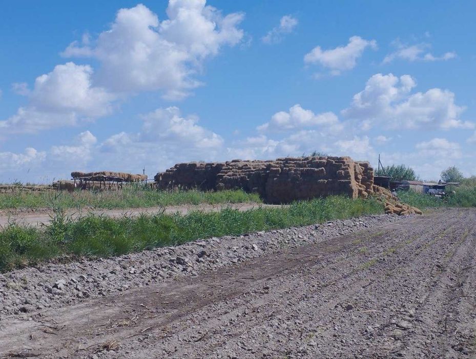 Сомон сотилади. Бойи 1метр
20минг пресс бор