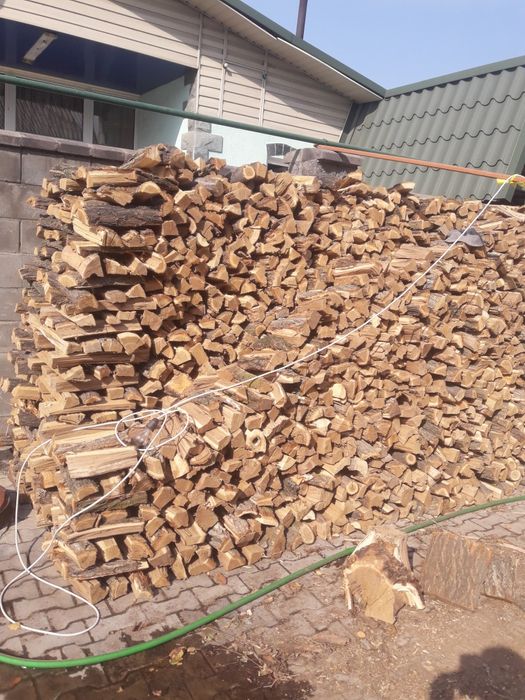 Карагач дрова тополь