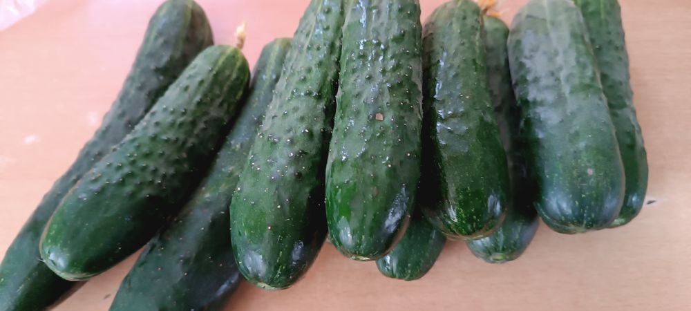 Продукты питания