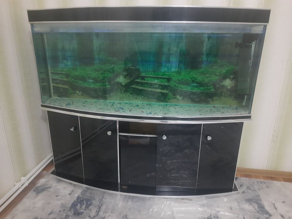 Akvarium sotiladi 2ta baligʻi va filtri bilan