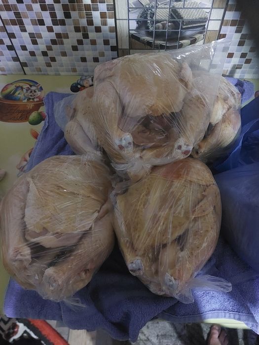 Vand pui albi de carne!
