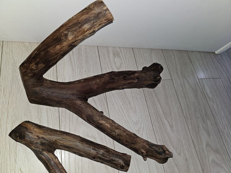 Vand plante acvariu