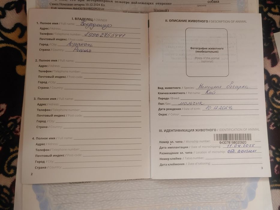 Немецкая овчарка