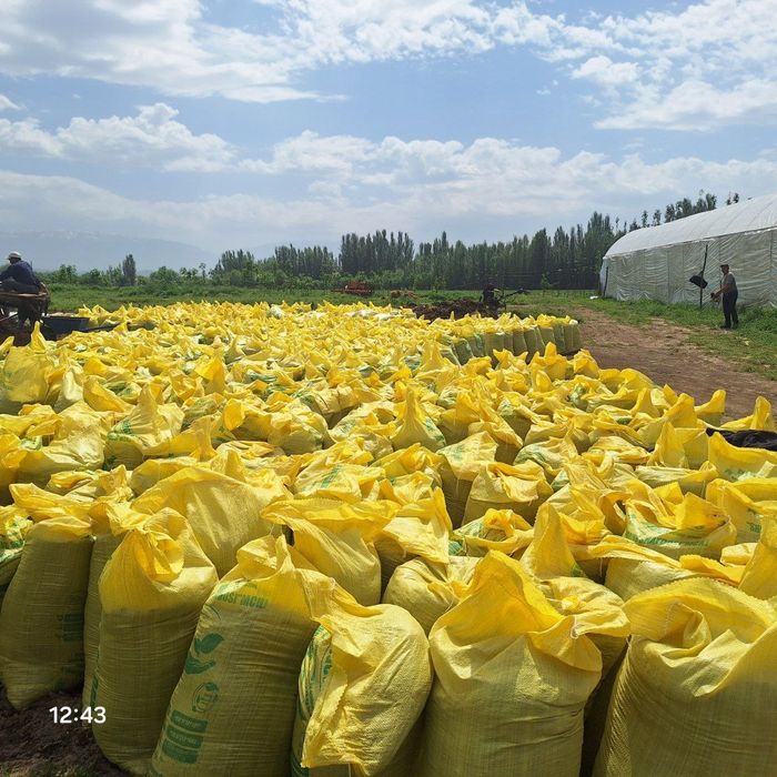 Biogumus optim narxda sotuvda Uzbekiston buylab dastafkamiz bor .