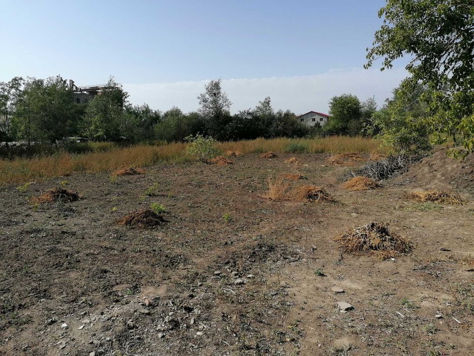 Casa de inchiriat in com Tudor Vladimirescu, sat Scortaru Vechi/Braila curte 5000mp pret 1000 ron negociabil