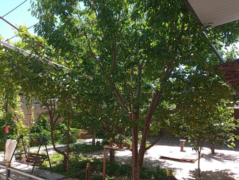 Uchastka sotiladi 6sotix 7 xona