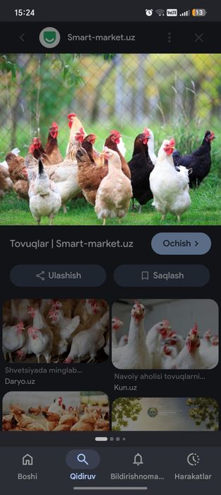 parranda sotiladi