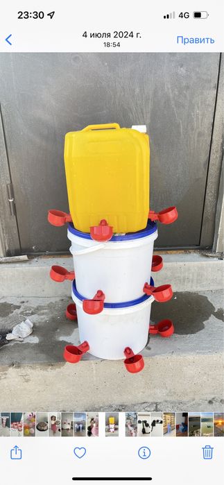 Құстарга су жем беретін ыдыс