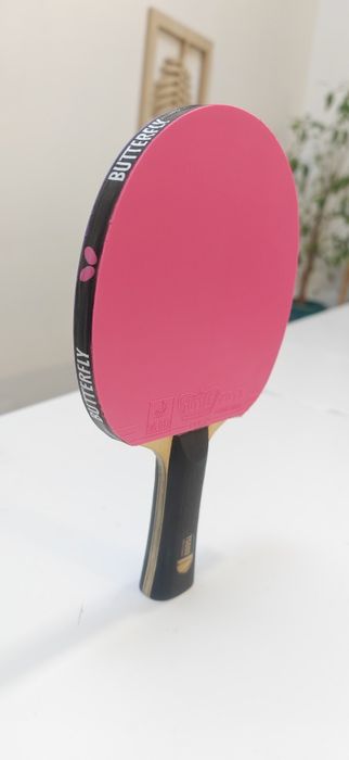 Paleta tenis Sanwei Tuttle Pink Purple