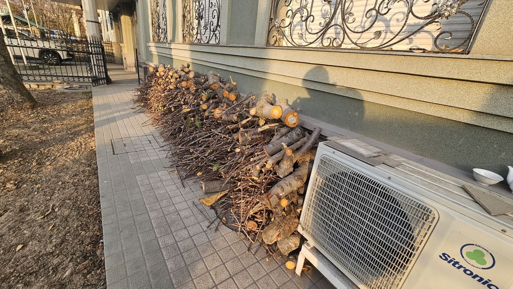 Otinlar qalin va yupqa, 40 sm dan kesilgan tayyor quruq,