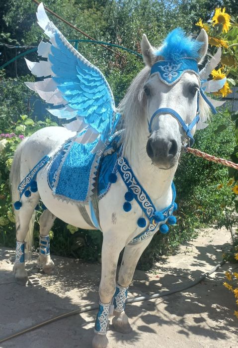 Кареты фаэтоны Лошали Пони