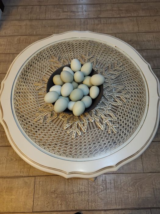 Oua  de gaina Araucana