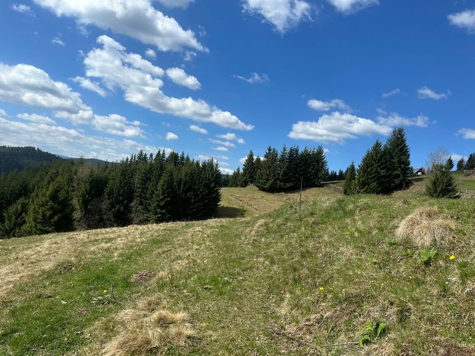 Teren la munte 4717m.p 30000 de euro