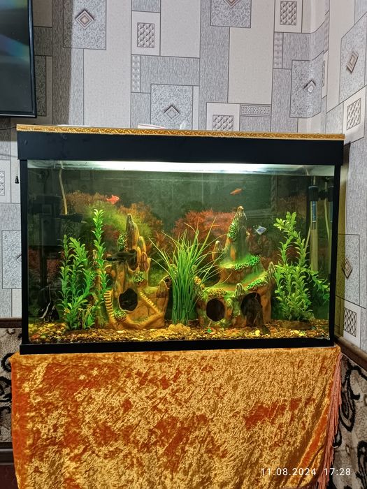 Akvarium 140 litr komplekt hamma narsasi bilan 12 ta baliq bilan