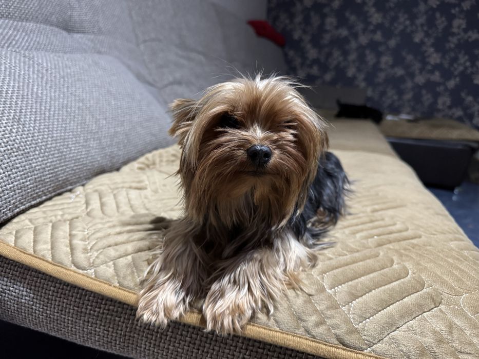 Девочка ищет мальчика