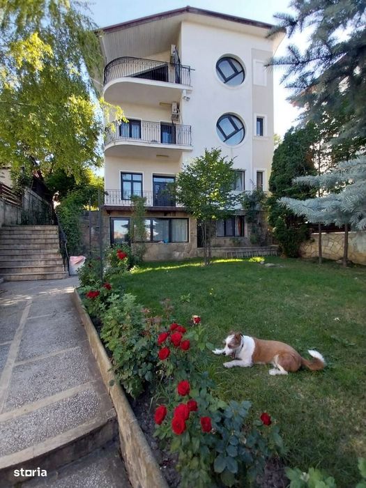 Apartament cu o camera in vila Copou - Negruzzi