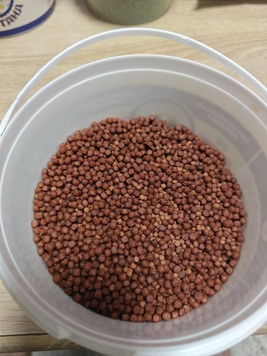 Корм для цихлид и не только