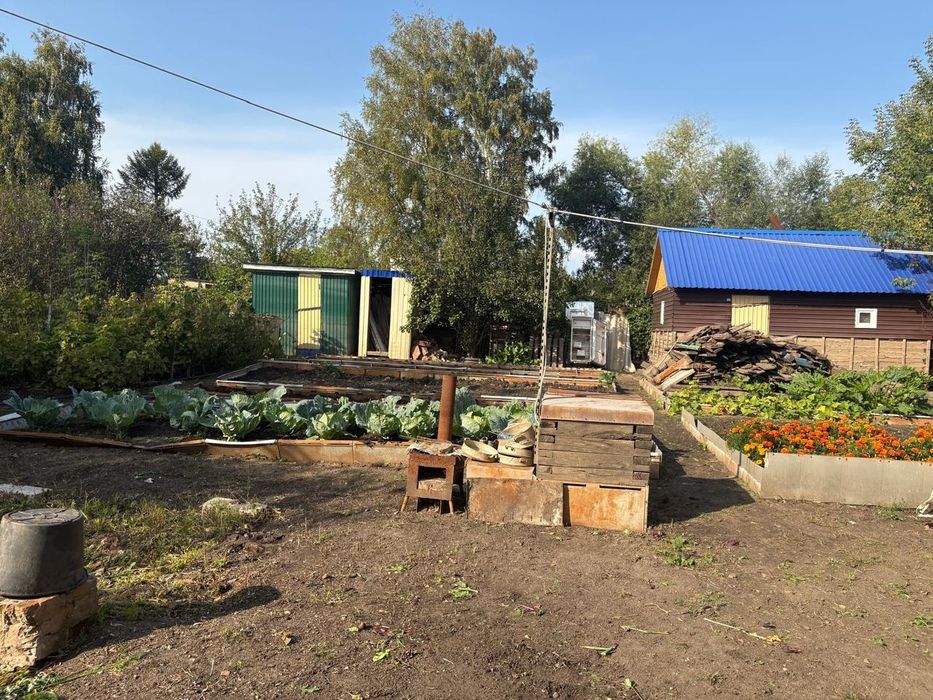 Срочно продам дачу