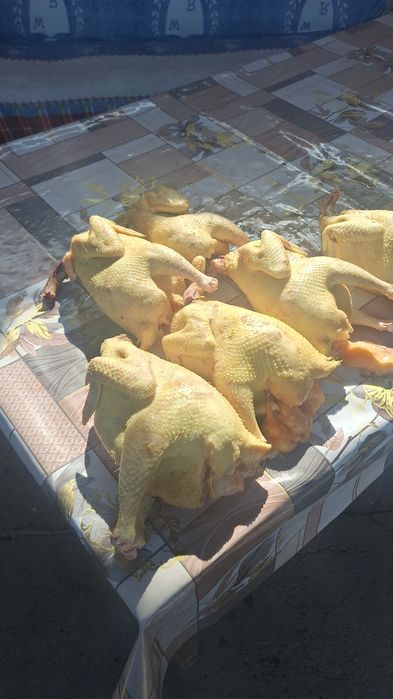Куры резаные тушки