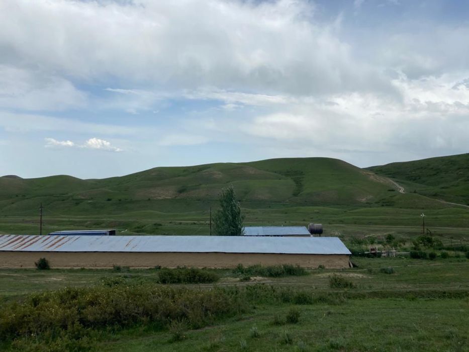 Фазенда, Кашар, Хозяйство