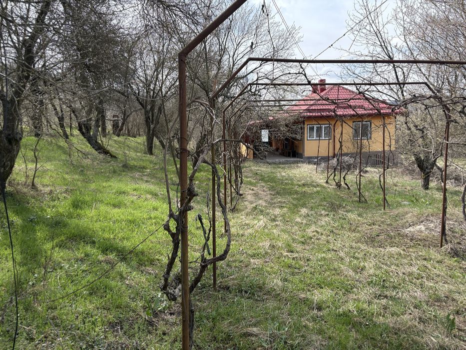 Vand casa noua sat greci