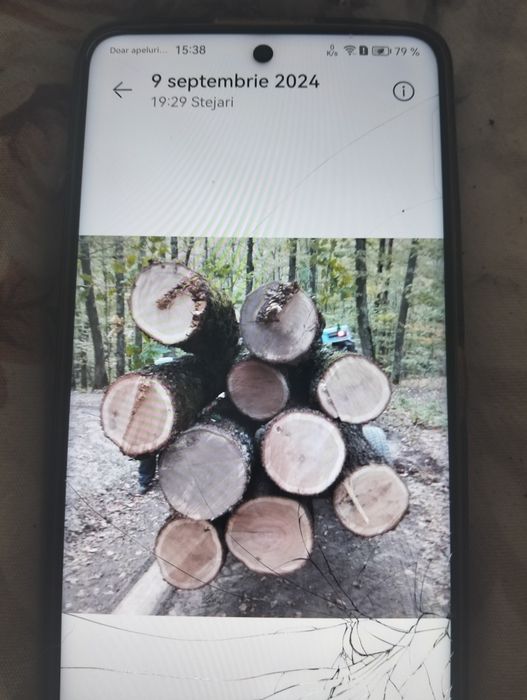 Lemn de stejar pentru lucru