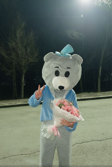 Teddy Mickey mouse 24/7