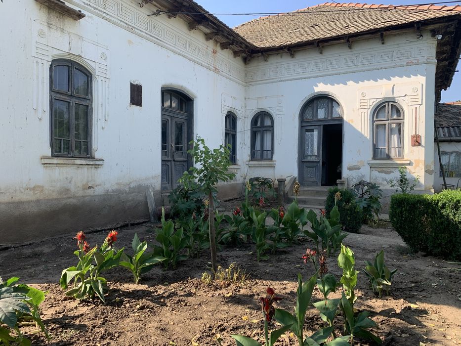 Casa de neratat in Dolj