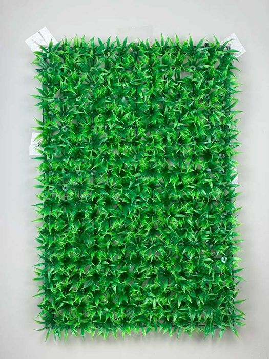 Фитостена 60×40 см — самшит без ухода