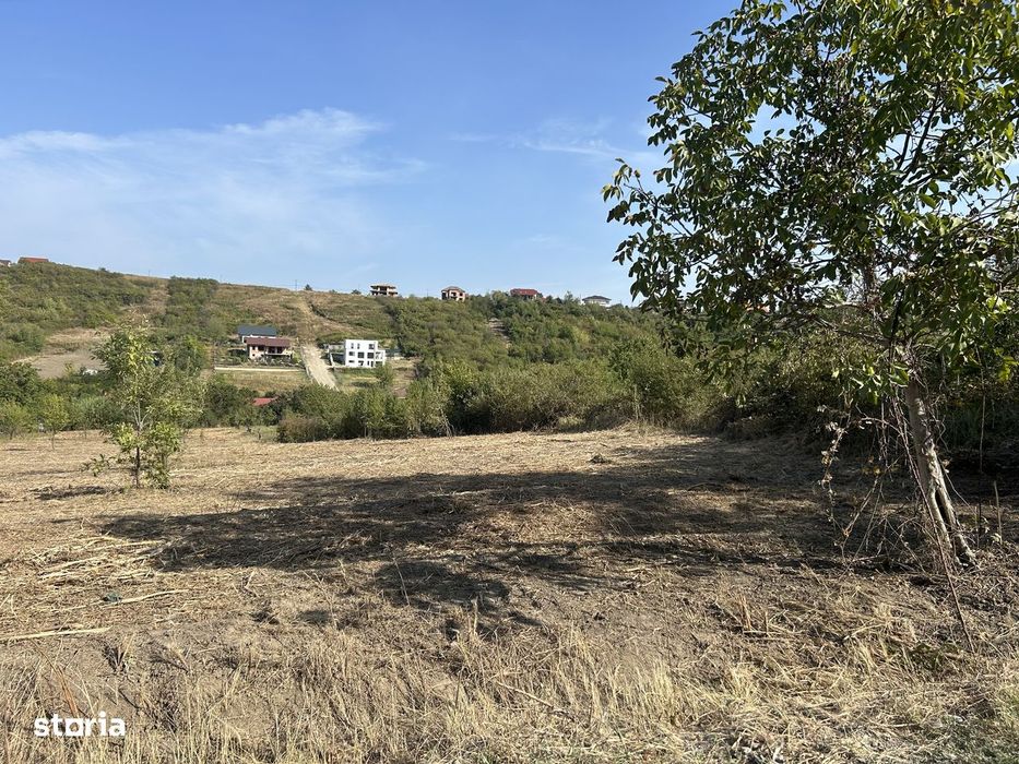 Teren intravilan  ,str Livezilor , 3280 mp