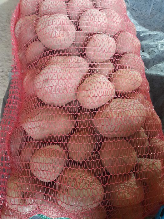 Cartof consum alb si rosu