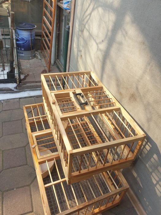 Клетки для голубей