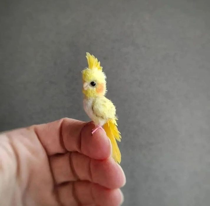 Декоративные птички продается