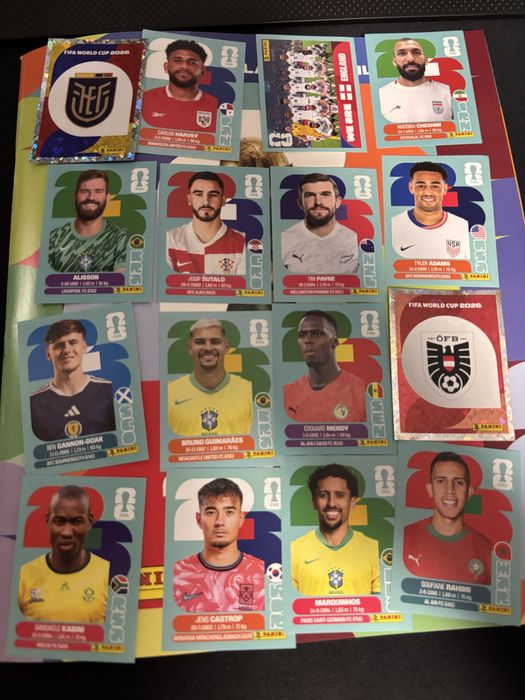 World cup stikere