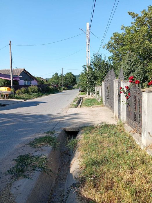 Casa cu gradina de vanzare
