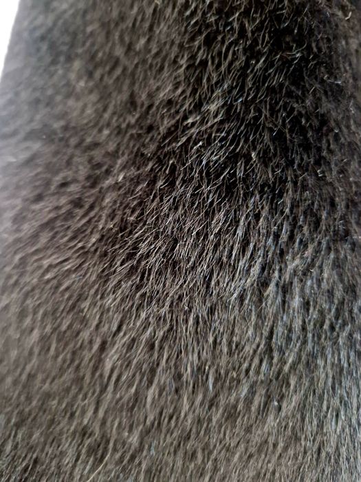 Елегантно палто имитация на конски косъм