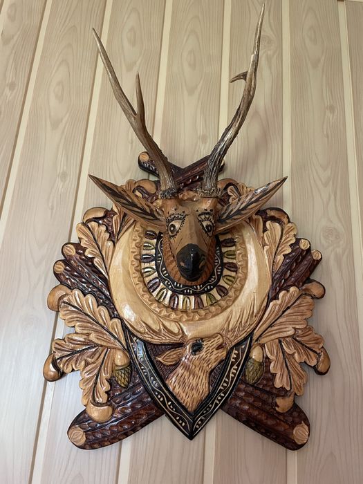 Set de 5 perechi de coarne