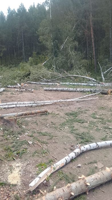Продам дрова  самовывоз