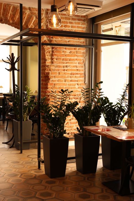 Afacere de vanzare - Restaurant centru istoric