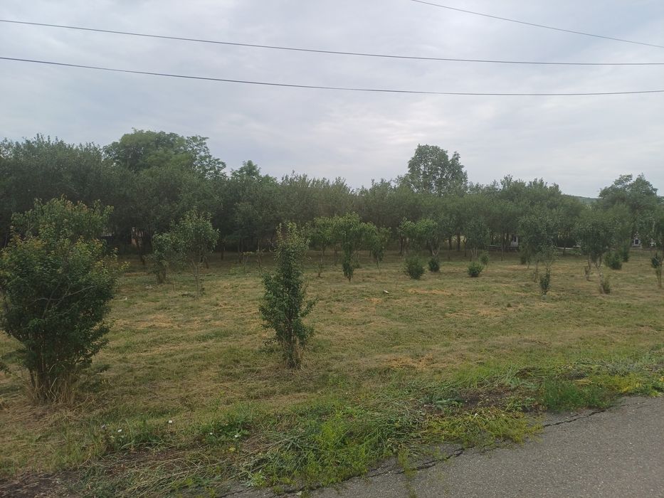 Teren intravilant pentru casa
