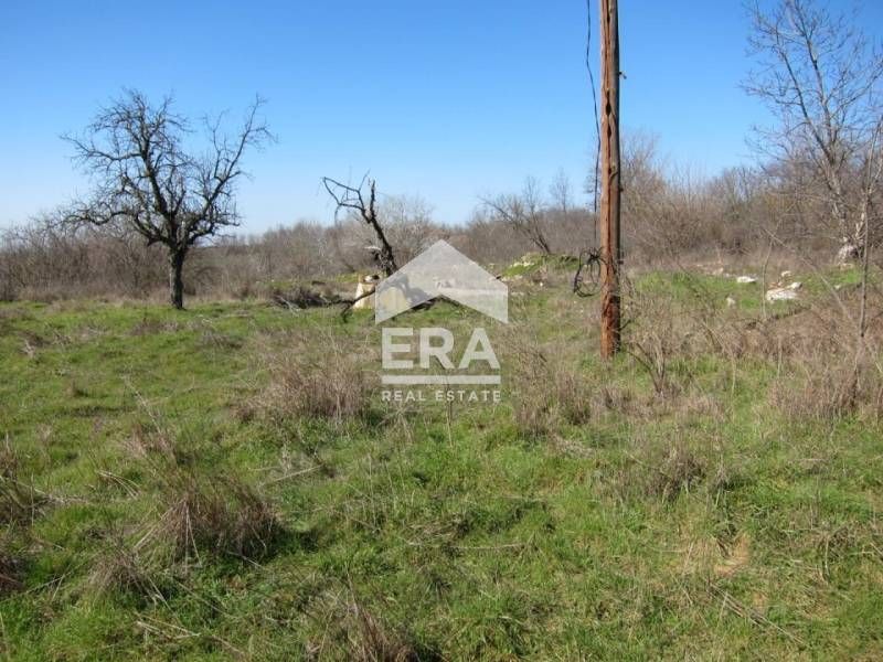 Парцел в село Кривня област Варна