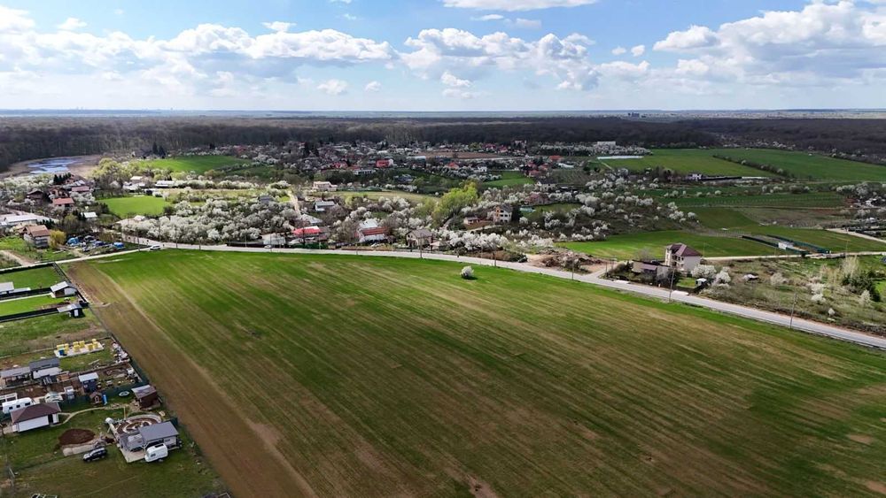 Teren Bălteni (Scroviștea) - Periș 1581 mp