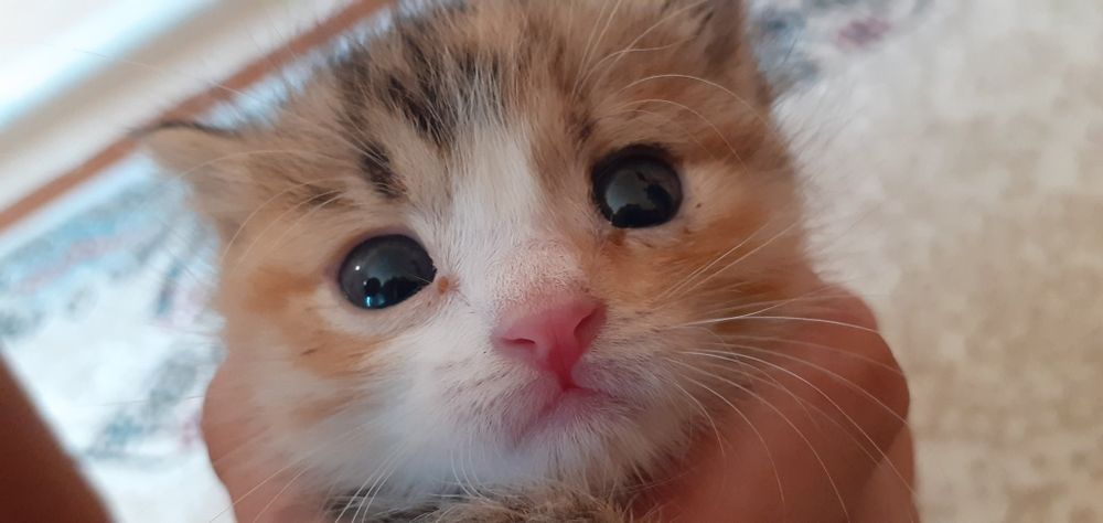 А всех юродивых и убогих ссылать на окраину. Пенсионеры в нищете. Жалеем убогих. А всех юродивых и убогих ссылать на окраину. Жалеем убогих.