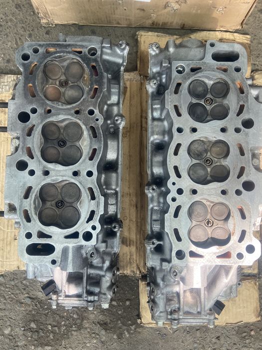 Галовка камри