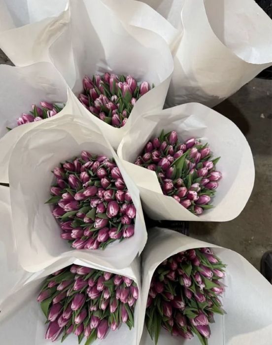 •ТЮЛЬПАНЫ  •тюльпаны