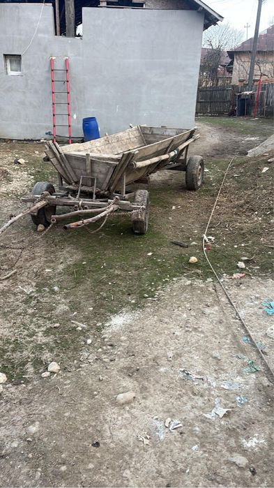 de vanzare caruta si ham pret negociabil