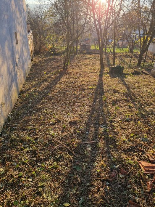 Професионални градинарски услуги
Предлагаме: