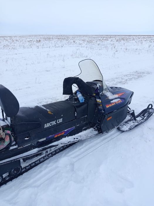 Снегоход Artic Cat Beacat 550