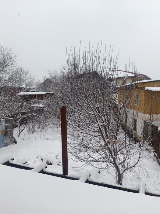 Продам дом с участком.