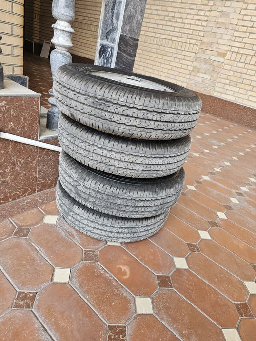 Labo zavod diska balon R12 2025-yil